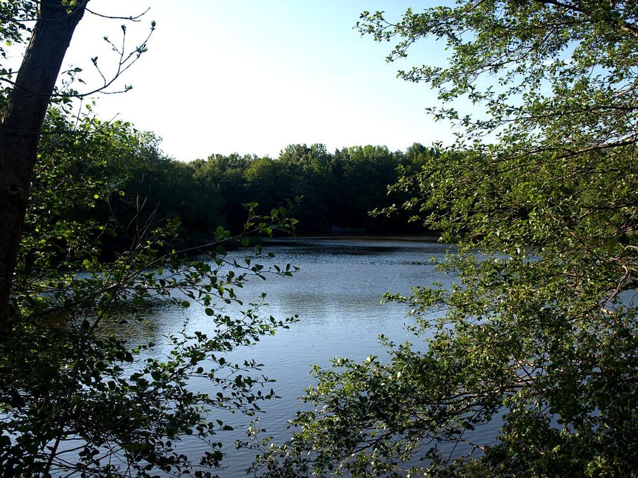 image 03